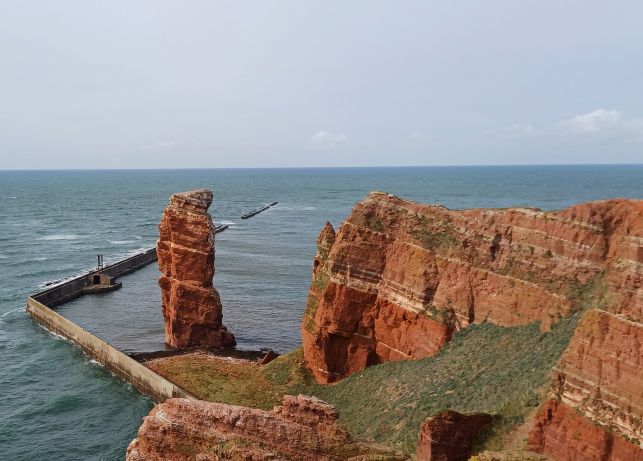Vogeltrek Helgoland, Duitsland